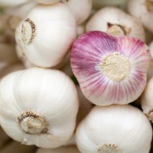AIL 1 KG