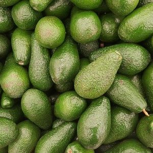 AVOCAT