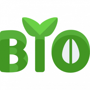 Légumes BIO
