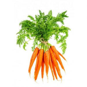 CAROTTES BOTTES