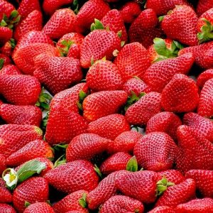 FRAISES 500GR