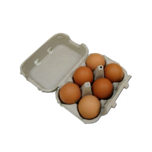 Oeuf x 6