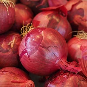 OIGNON ROUGE 1 KG
