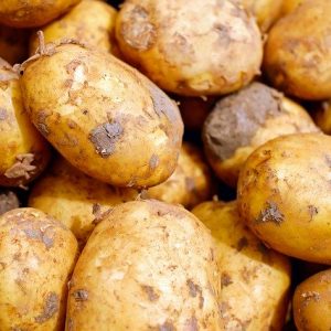 POMME DE TERRE NOUVELLES BIO 1 KG