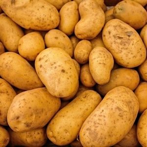 POMME DE TERRE 1 KG